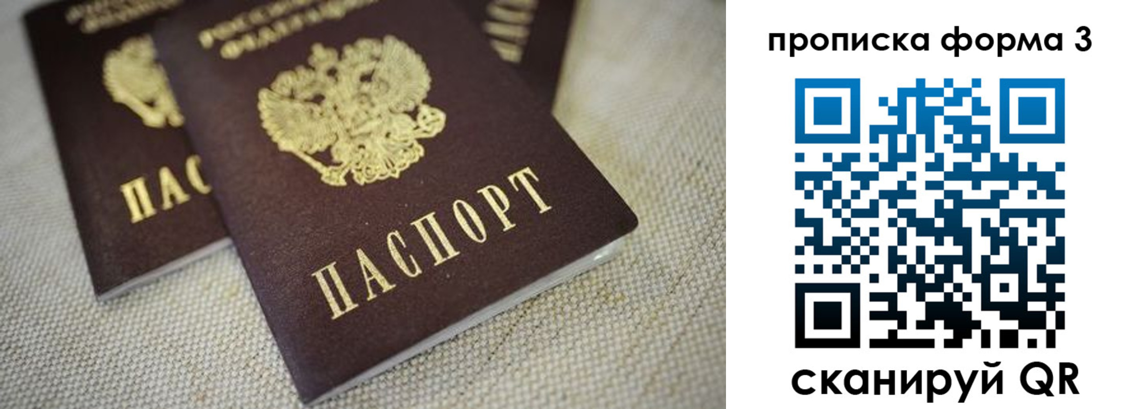 прописка поиск в Московской области